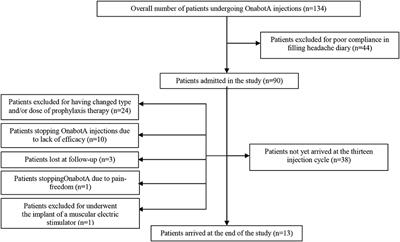 Addendum: Long-term Treatment Benefits and Prolonged Efficacy of OnabotulinumtoxinA in Patients Affected by Chronic Migraine and Medication Overuse Headache over 3 Years of Therapy